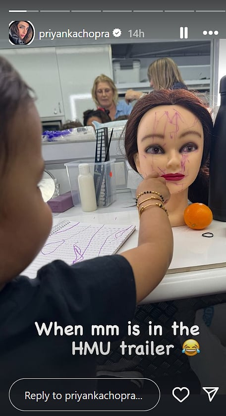 Priyanka Chopra on her Instagram Stories